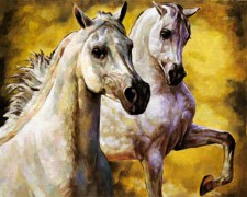 white horses in golden light