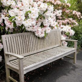 Bench in a garden