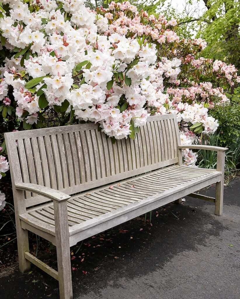 Bench in a garden