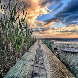 wooden walkway
