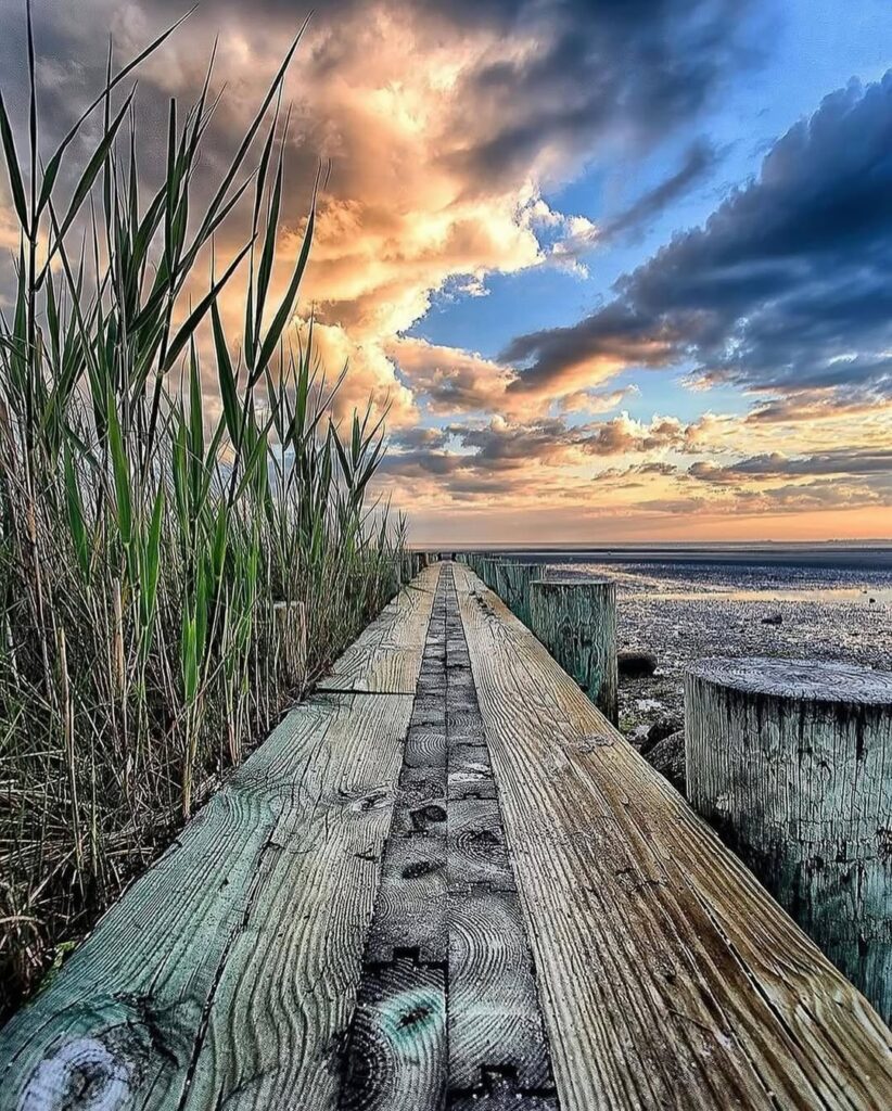 wooden walkway